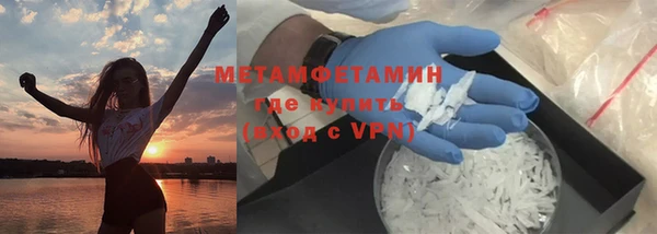 индика Медвежьегорск