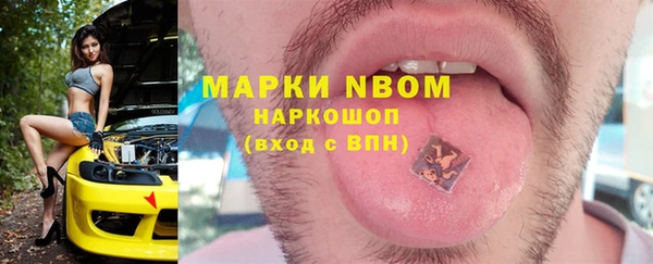 индика Медвежьегорск