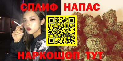 прущие грибы Краснокаменск