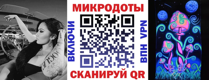 хочу наркоту  Лесной  Галлюциногенные грибы Psilocybe 