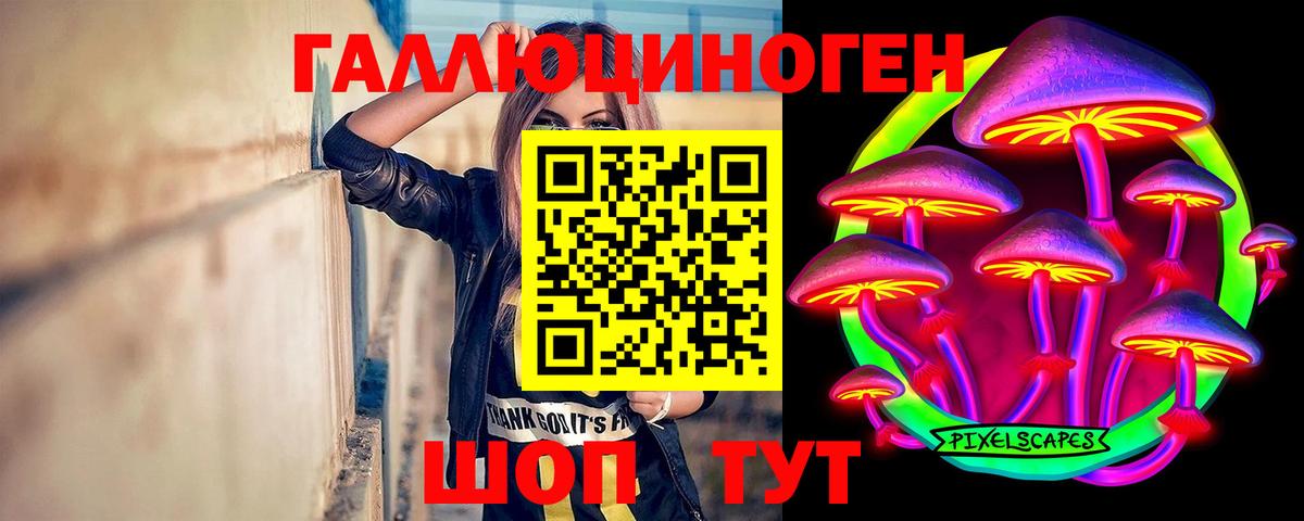 Псилоцибиновые грибы Psilocybe Лесной