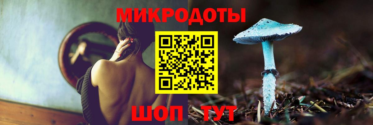 Псилоцибиновые грибы Psilocybine cubensis  Вход с VPN  Галлюциногенные грибы мухоморы  Лесной 