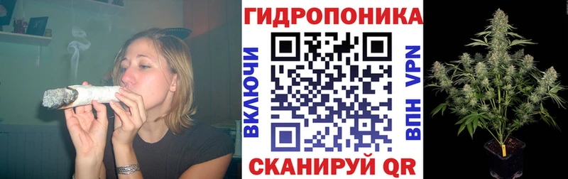 купить  сайты  Лесной  omg зеркало  Канабис планчик 